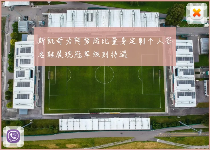 斯凯奇为阿努诺比量身定制个人签名鞋展现冠军级别待遇