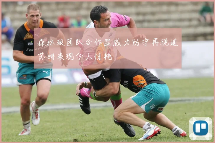 森林狼团队合作显威力防守再现道苏姆表现令人惊艳